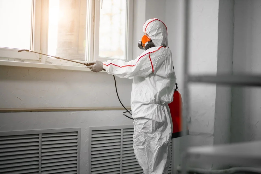 Professional mold remediation services in Savage, MN